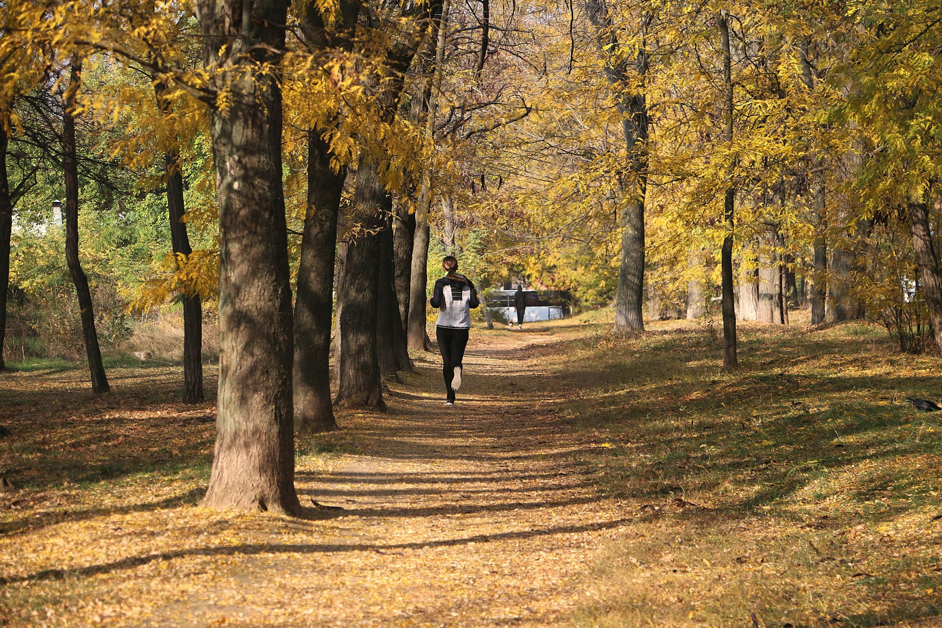 How to Find the Perfect Running Shoe for Your Body