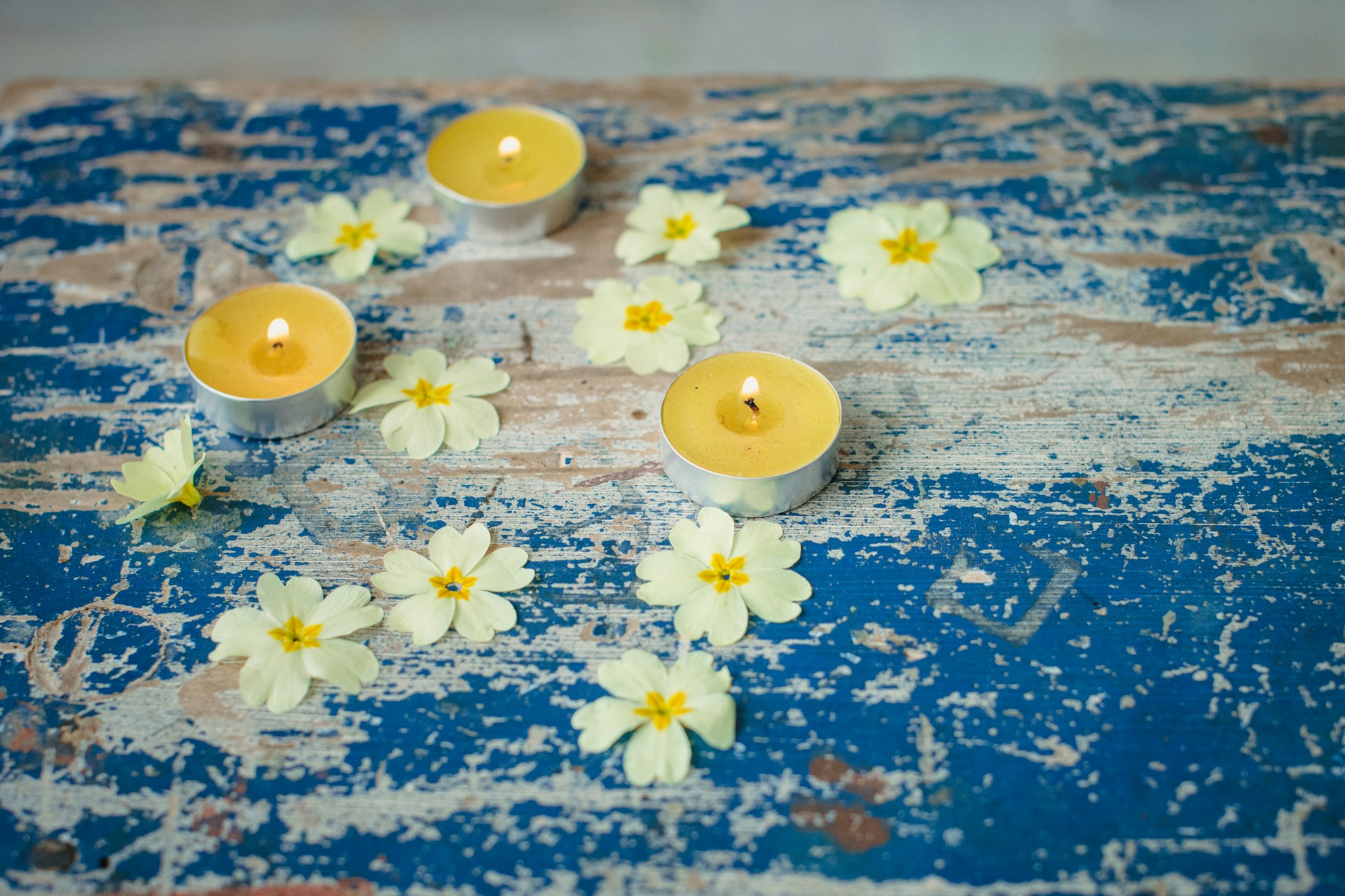 The Power of Essential Oils in Everyday Wellness