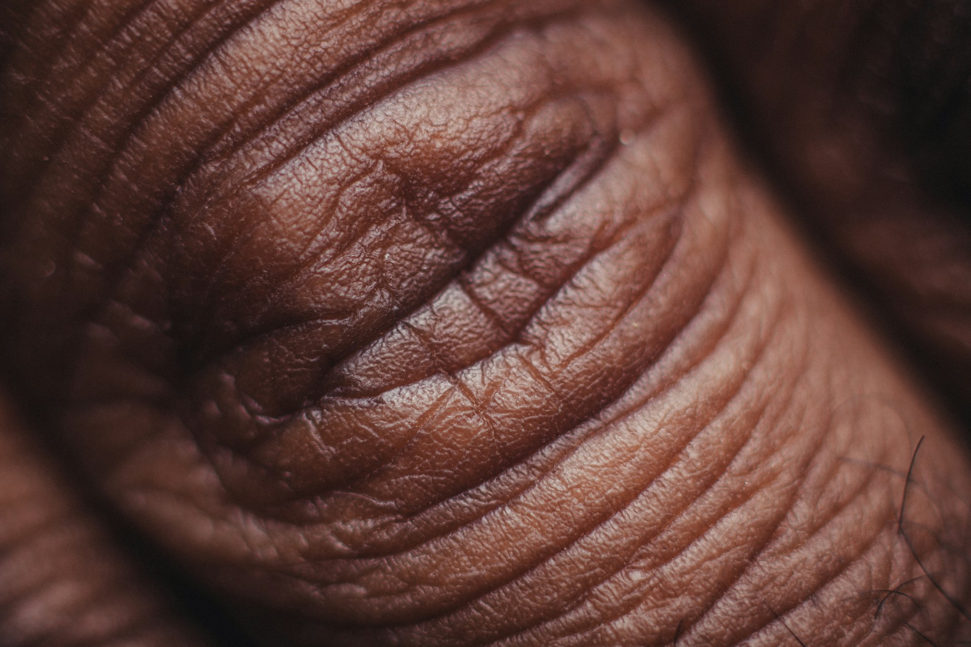 Why Multi Source Collagen Makes a Real Difference