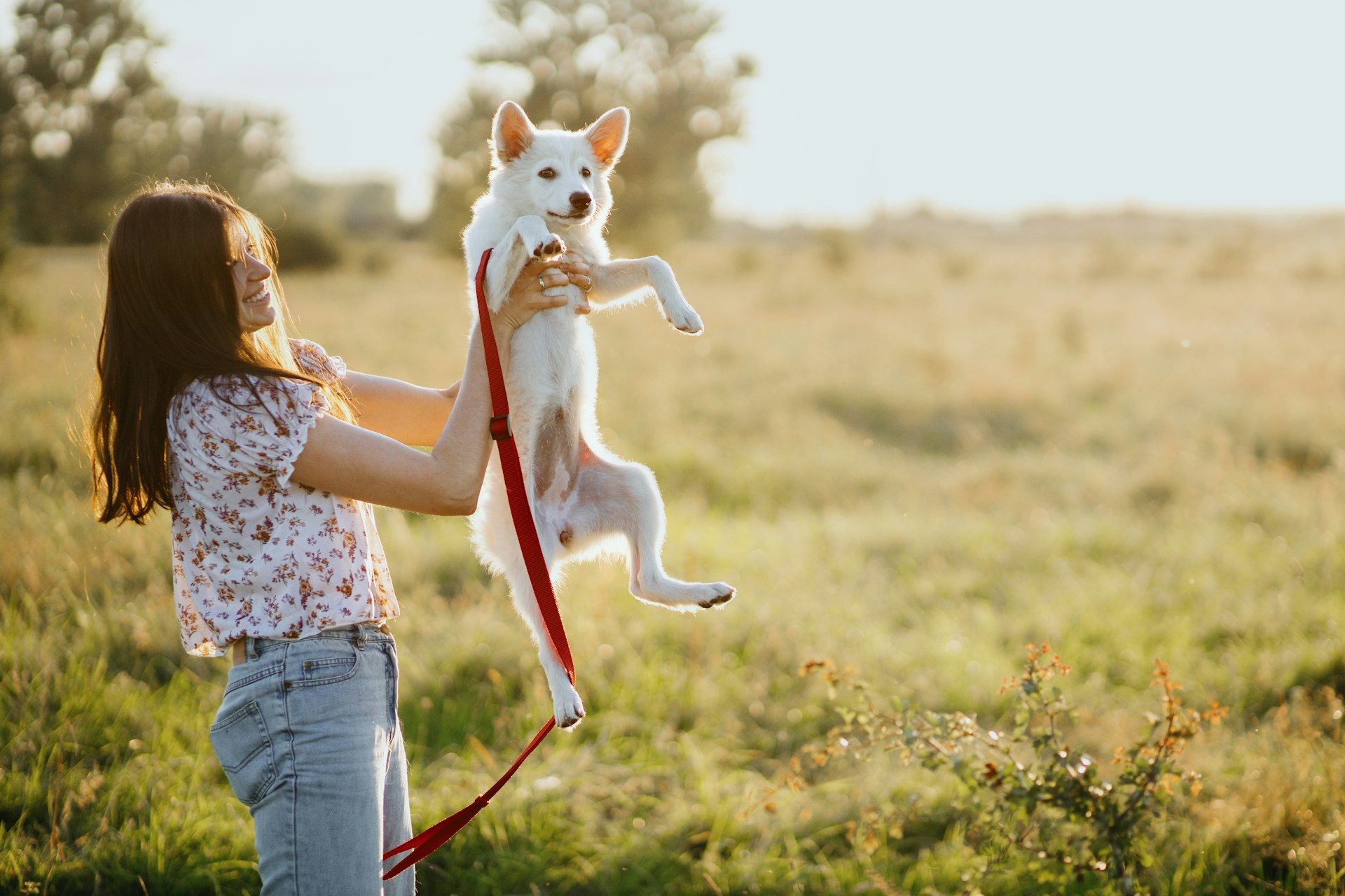 How Smart Tools Are Transforming the Way We Care for Pets