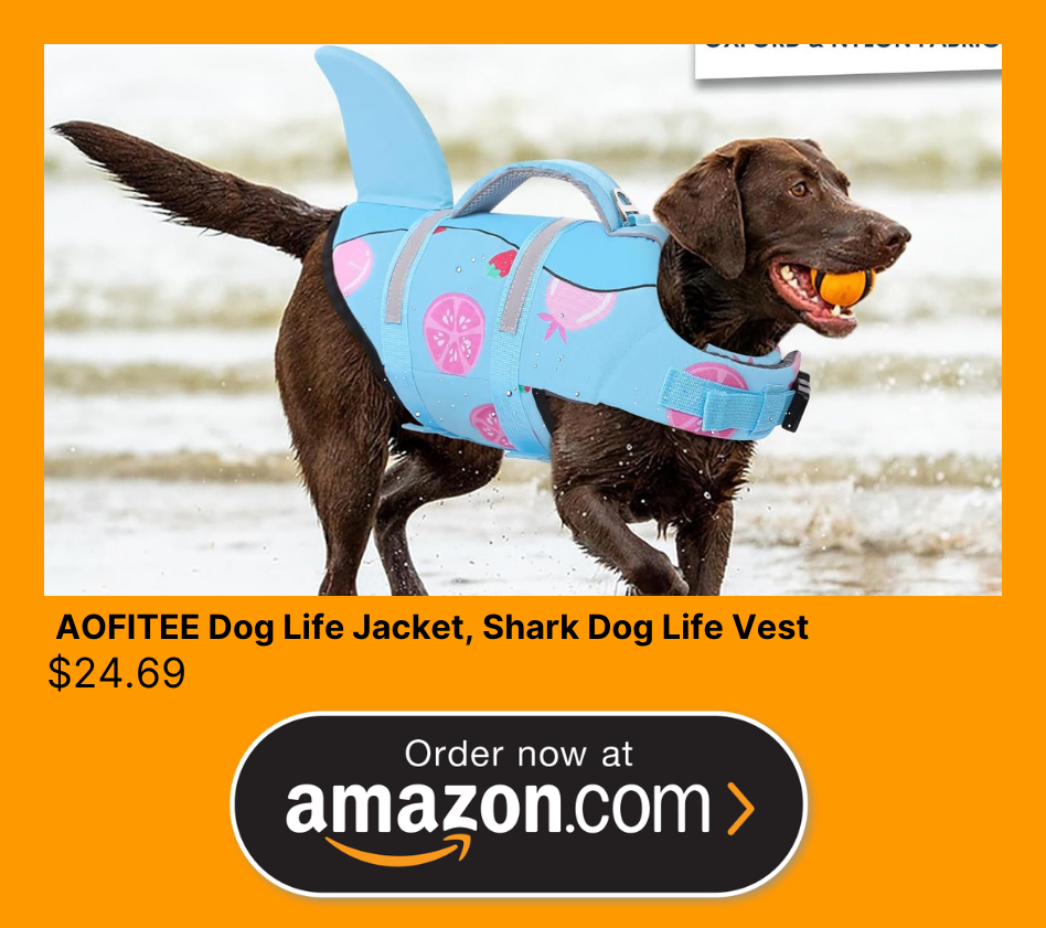 Buy on Amazon product card